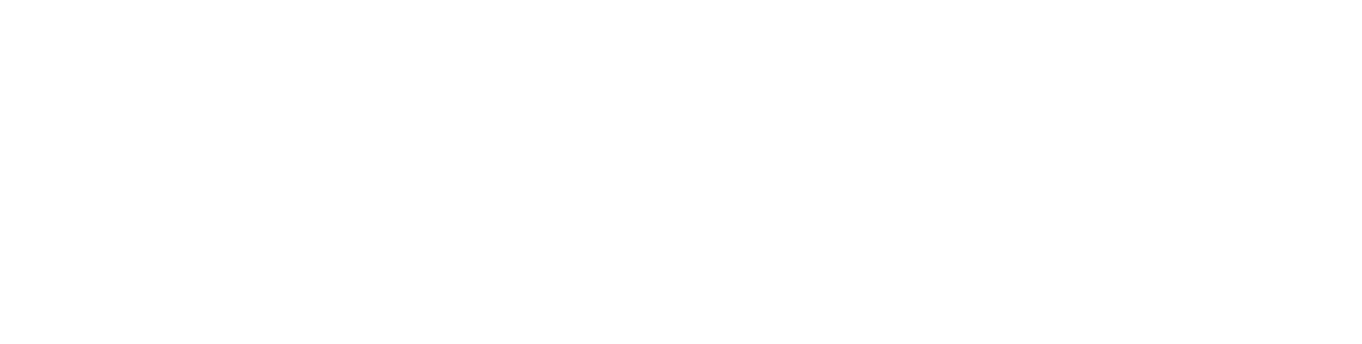 Spartan Investment Group